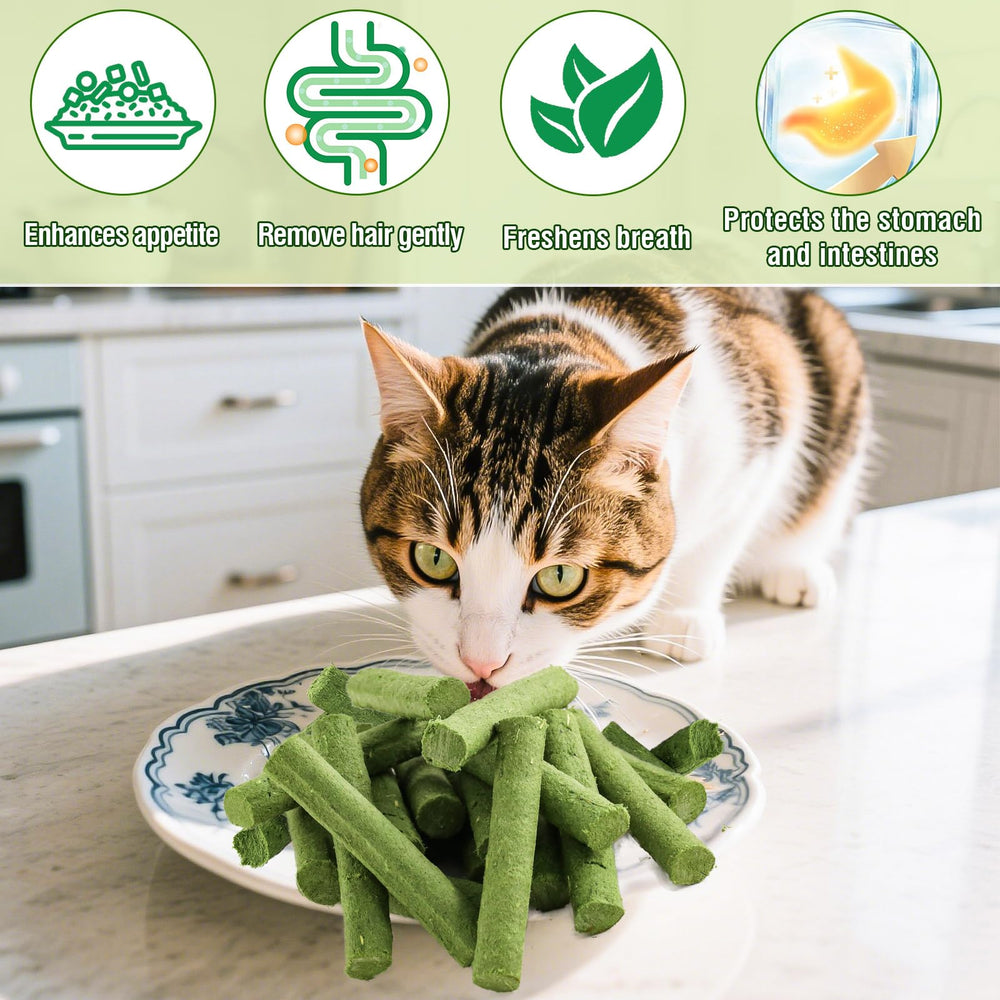 Myfoodog cat grass stick delivers a crunchy, tasty snack.