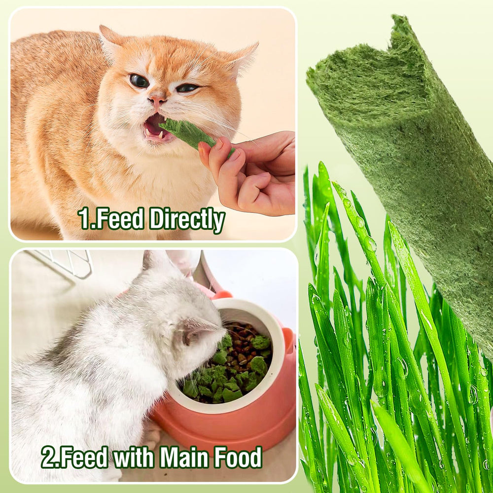Myfoodog production: USA-made with careful sourcing.