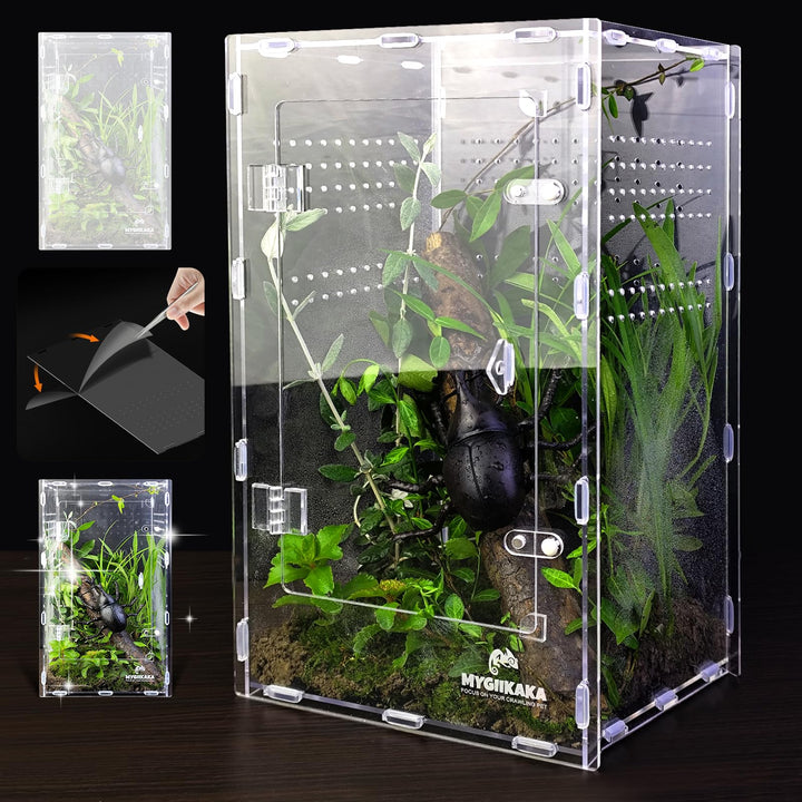 MYGIIKAKA acrylic jumping spider enclosure front-view for clear observation.