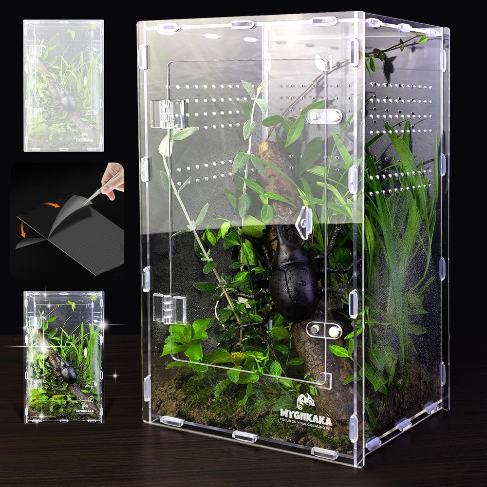 MYGIIKAKA acrylic jumping spider enclosure front-view for clear observation.
