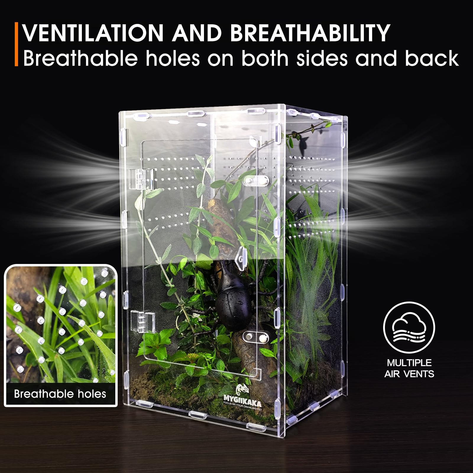 MYGIIKAKA large enclosure provides roomy space for small pets during observation.