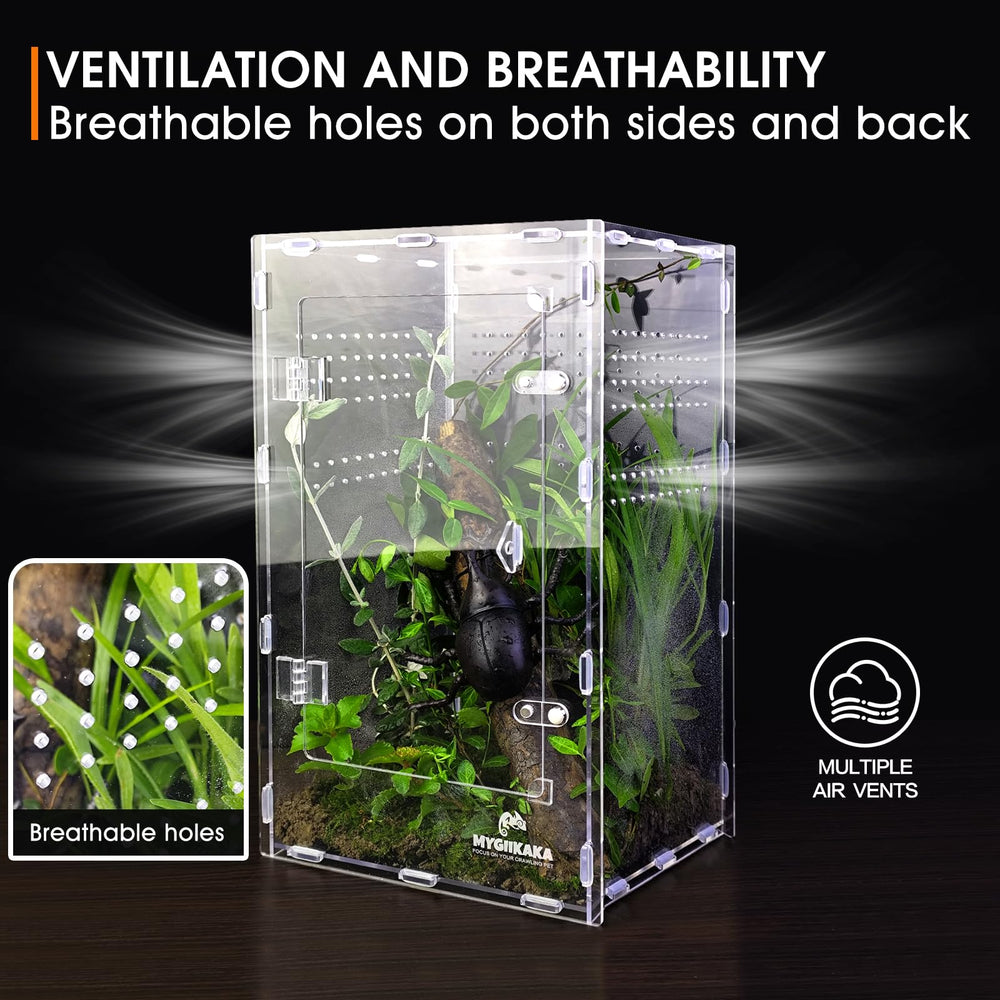 MYGIIKAKA large enclosure provides roomy space for small pets during observation.