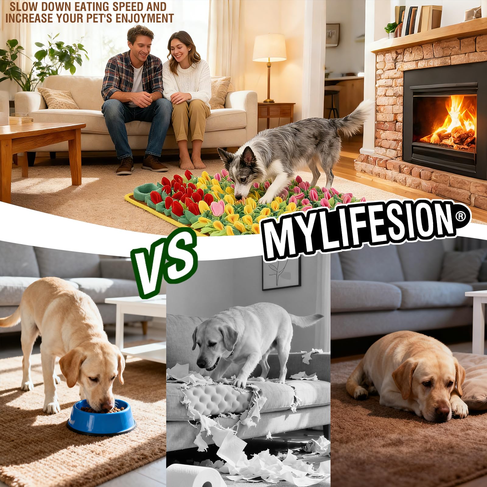 MYLIFESION treat-search zones encourage problem solving and focus.