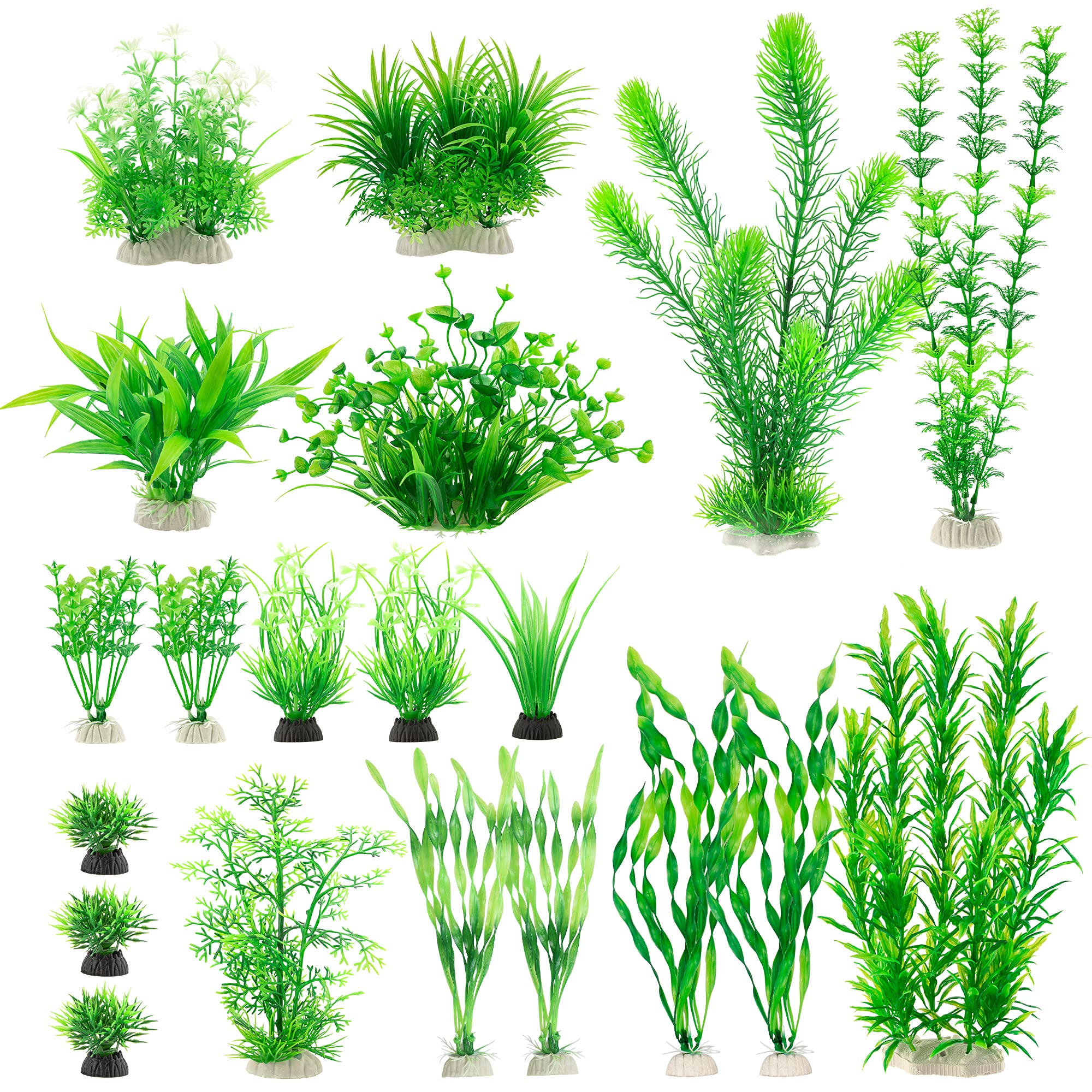 MyLifeUNIT aquarium plants: green varieties for a vibrant freshwater tank.