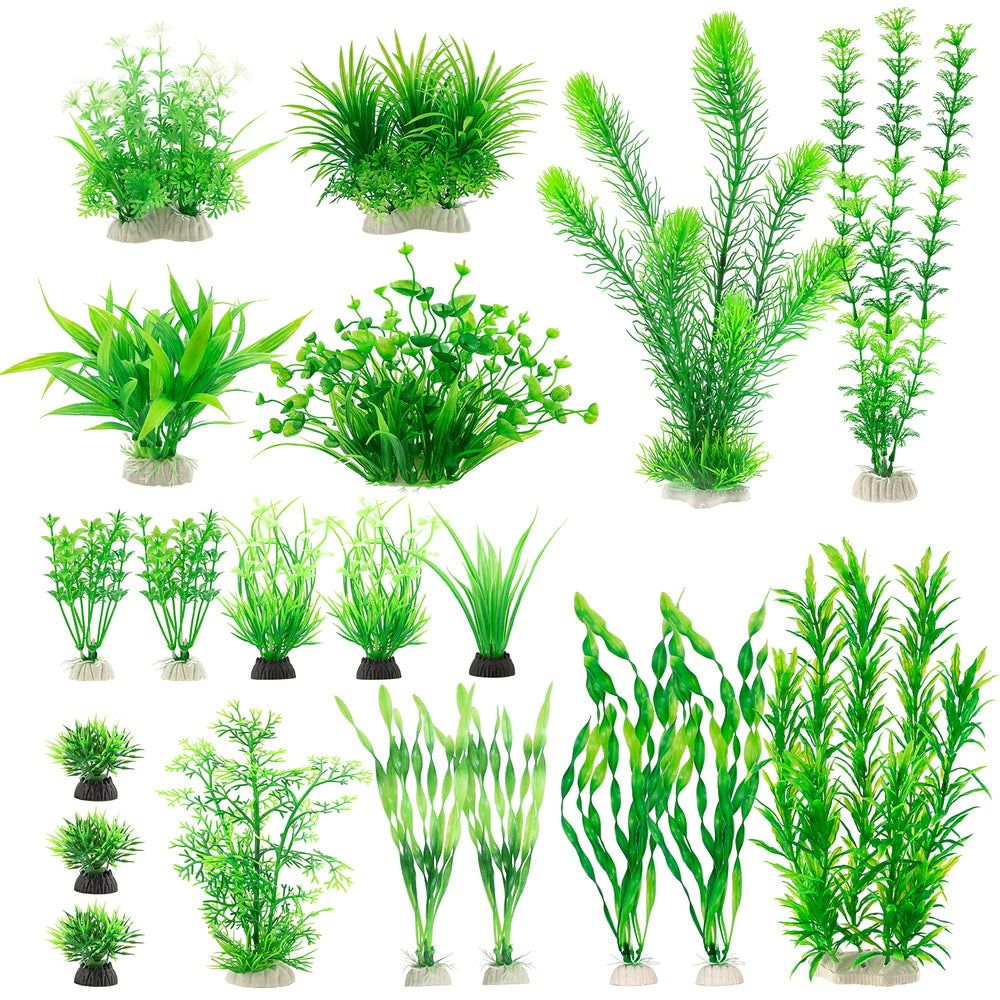 MyLifeUNIT aquarium plants: green varieties for a vibrant freshwater tank.