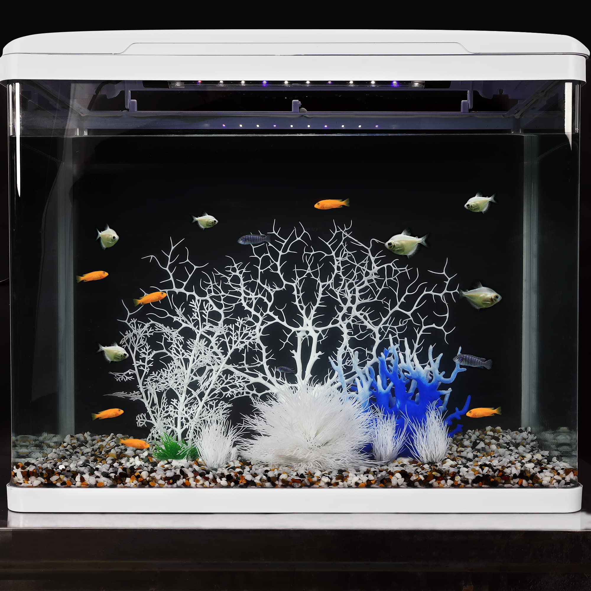 MyLifeUNIT color stays vibrant, keeping the tank looking fresh