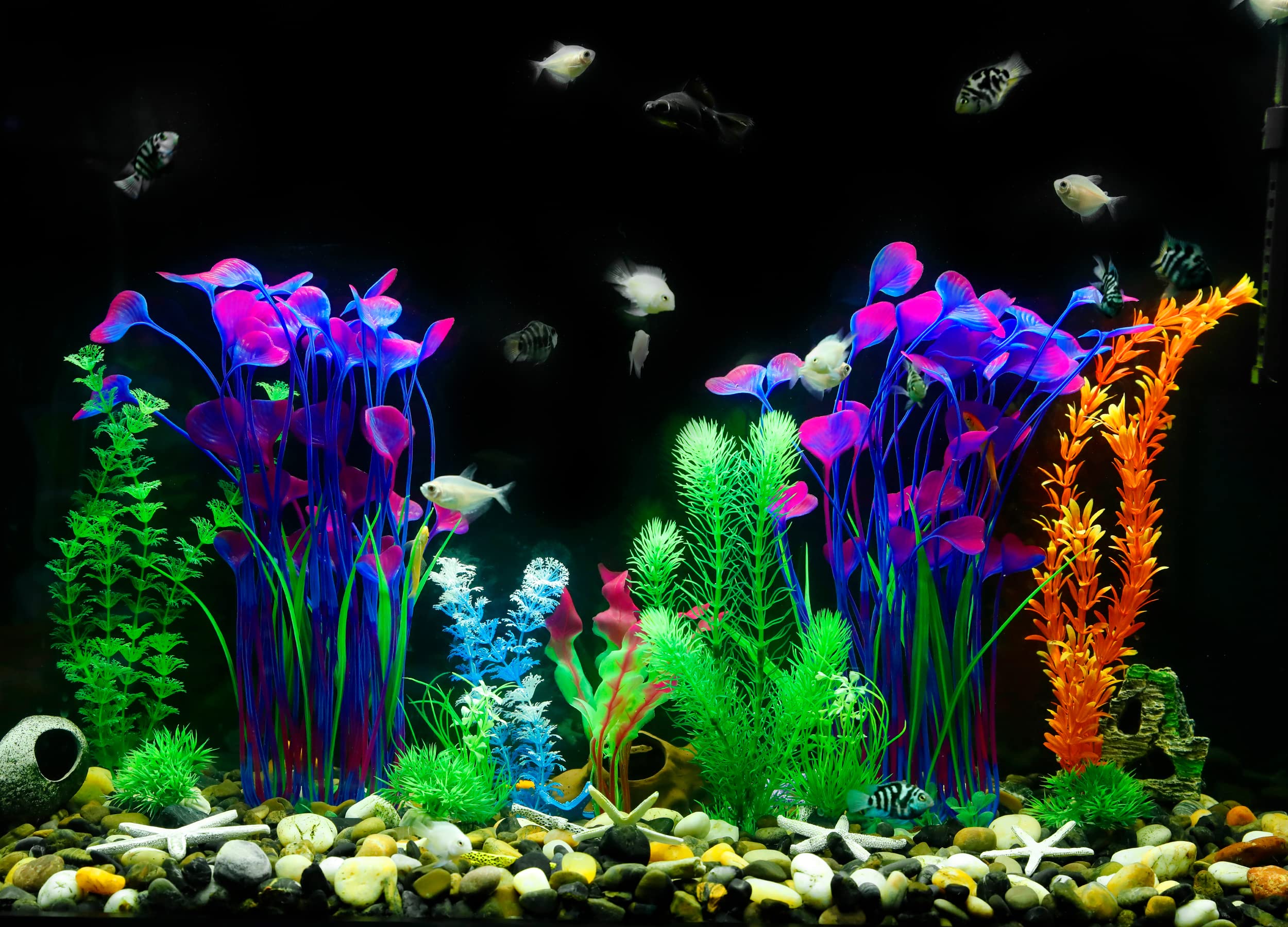 MyLifeUNIT aquarium plants easy-clean design simplifies maintenance in any tank.