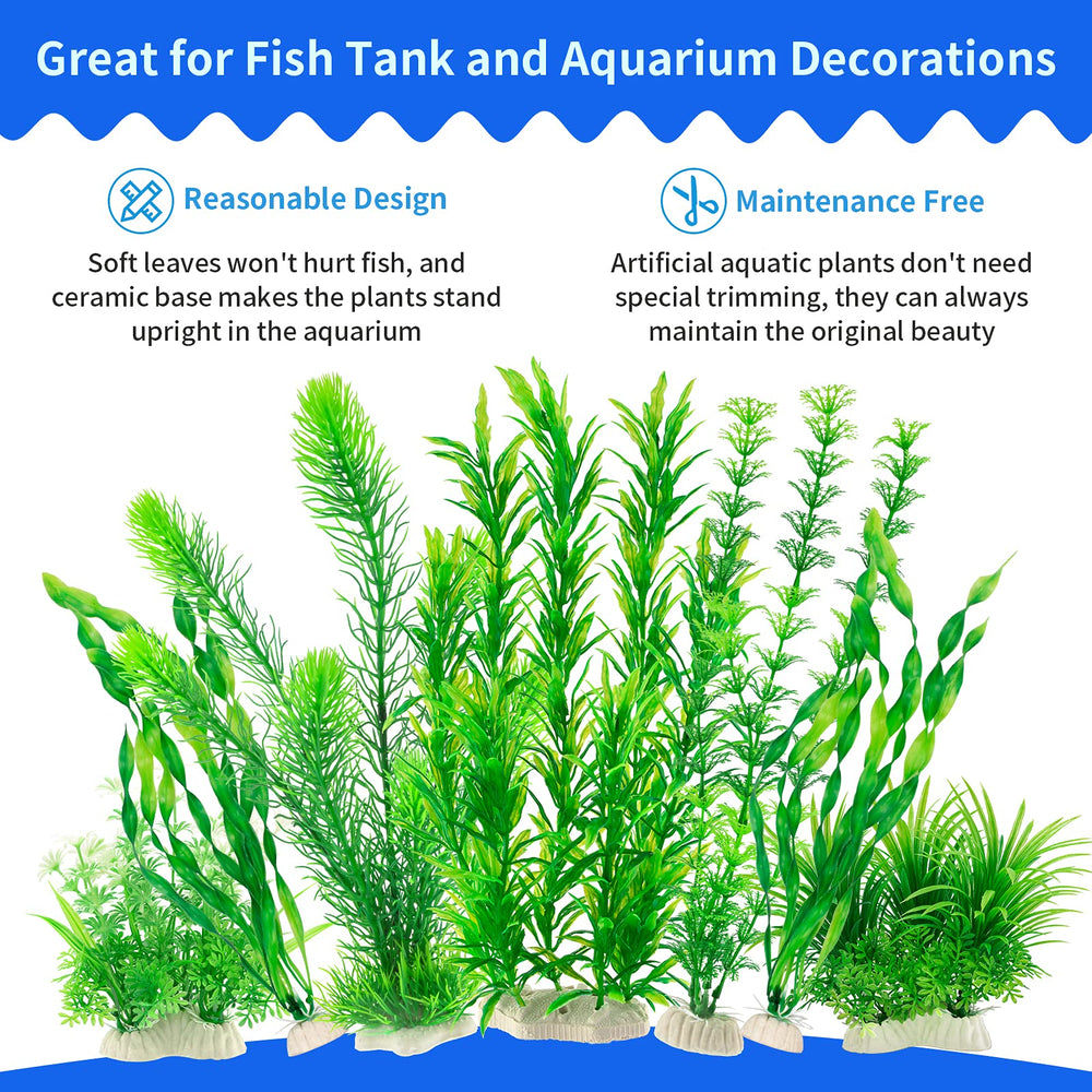 MyLifeUNIT soft-leaf plants offer safe hiding spots for fish.