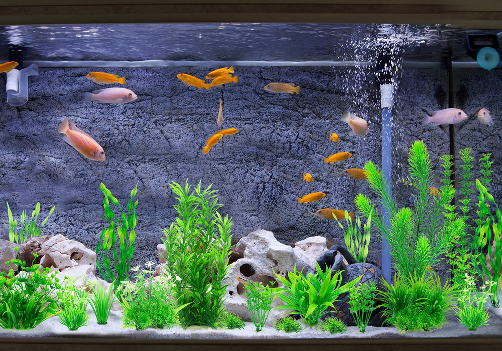 MyLifeUNIT decorative plants enhance aquarium aesthetics while staying safe for fish.