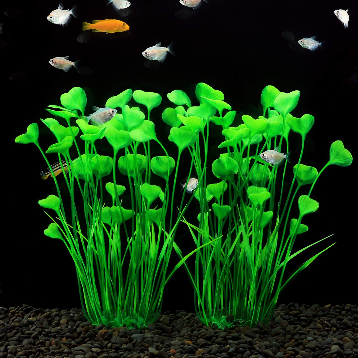 MyLifeUNIT two-pack creates immediate, balanced decor in larger aquariums.