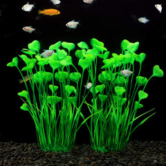 MyLifeUNIT two-pack creates immediate, balanced decor in larger aquariums.