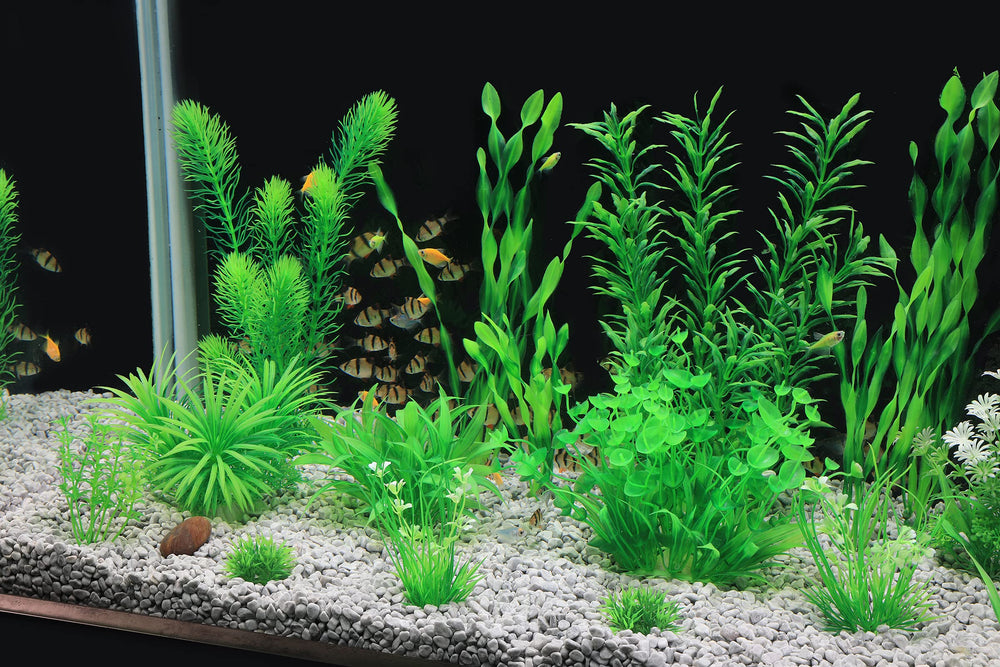 MyLifeUNIT plants in 2–12 inch range for versatile tank sizes.