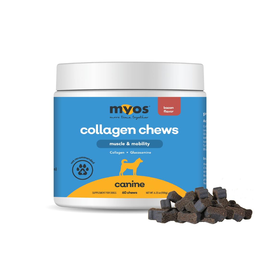 MYOS Canine Muscle Formula bottle front with bacon chews for daily mobility support