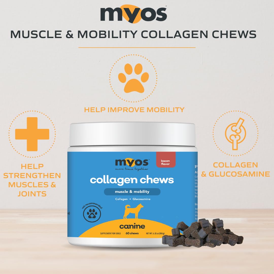 Close-up of MYOS bacon flavored chews highlighted for collagen and glucosamine benefits
