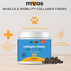 Close-up of MYOS bacon flavored chews highlighted for collagen and glucosamine benefits