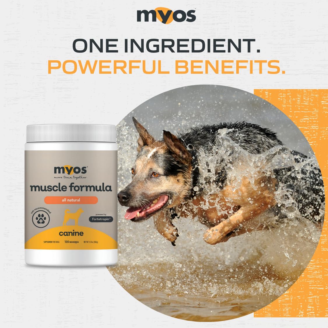 Daily portion scoop beside the MYOS Canine Muscle Formula for consistent dosing.