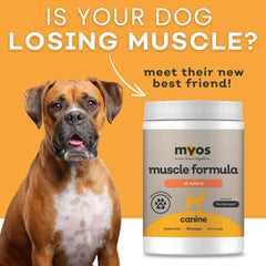 Dog meal being served with MYOS Canine Muscle Formula mixed in.