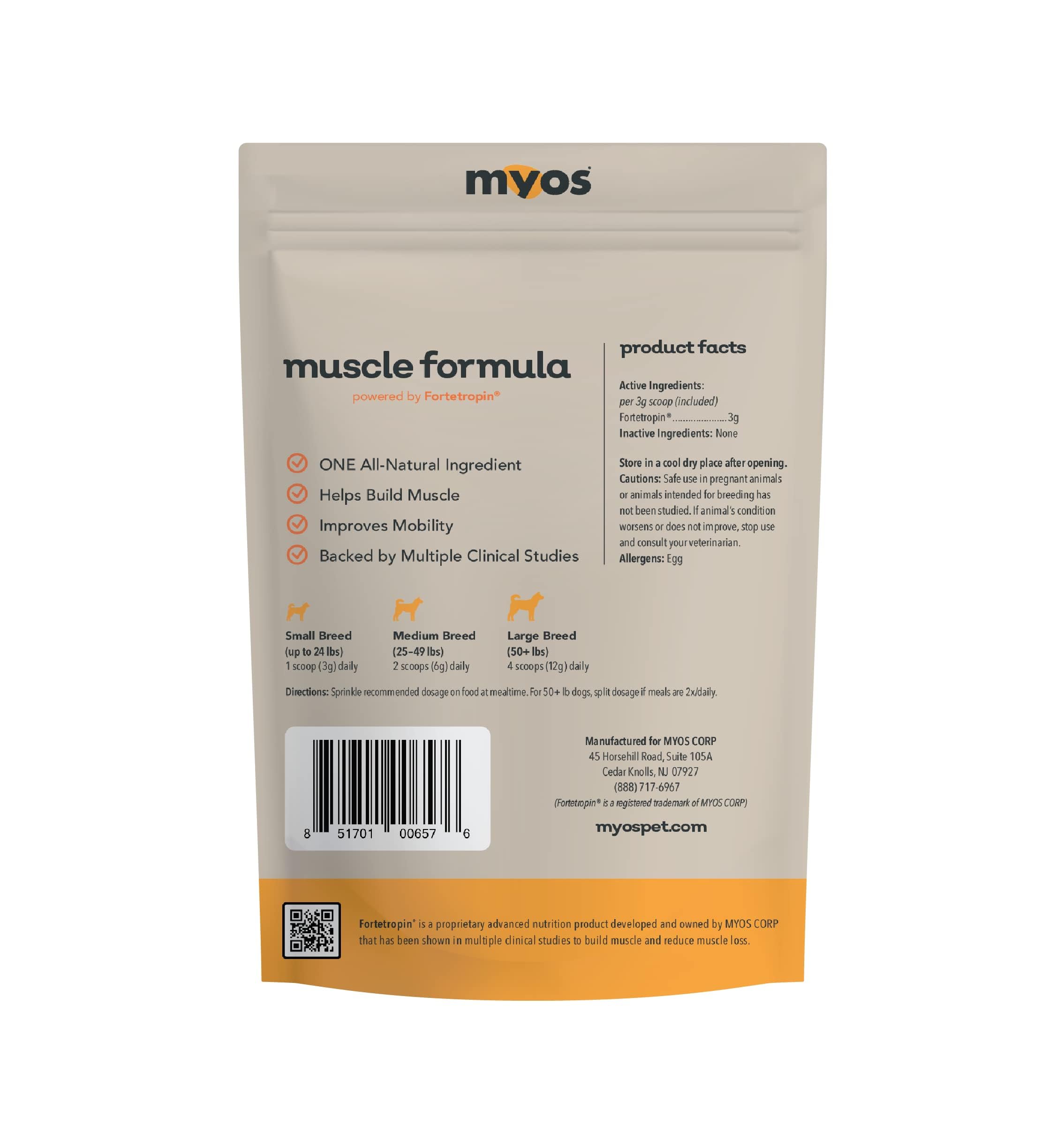 Happy dog with improved vitality potentially from MYOS Canine Muscle Formula.