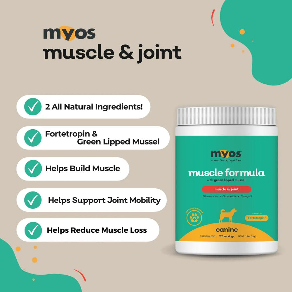 MYOS Canine Muscle Formula green-lipped mussel ingredient highlight for joint health.