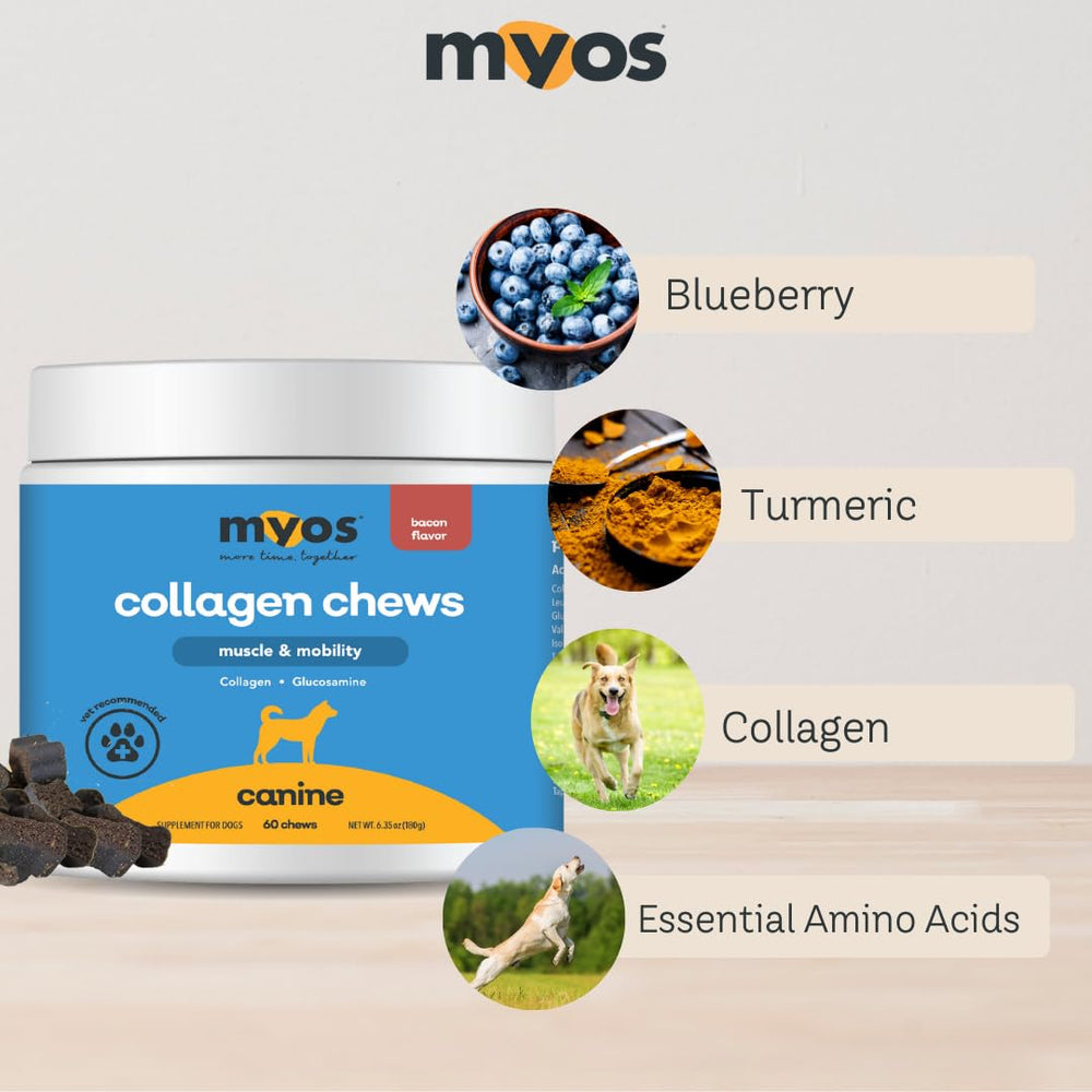 Graphic of MYOS collagen and glucosamine ingredients for muscle and joint support