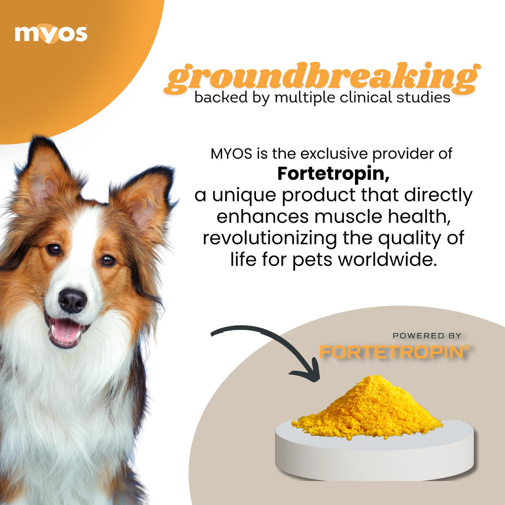 Close-up view of MYOS Canine Muscle Formula label highlighting Fortetropin ingredient.