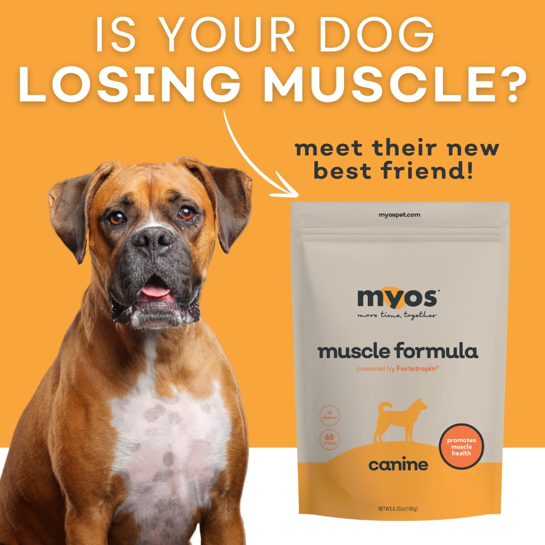 Pouring MYOS Canine Muscle Formula from the bottle for convenient use.