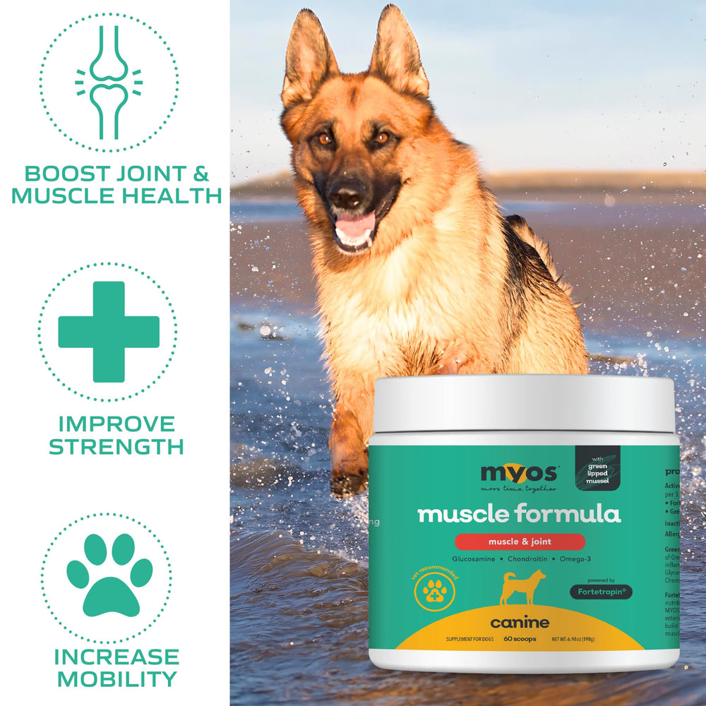 MYOS Canine Muscle Formula powder texture with scoop for easy mixing after activity.