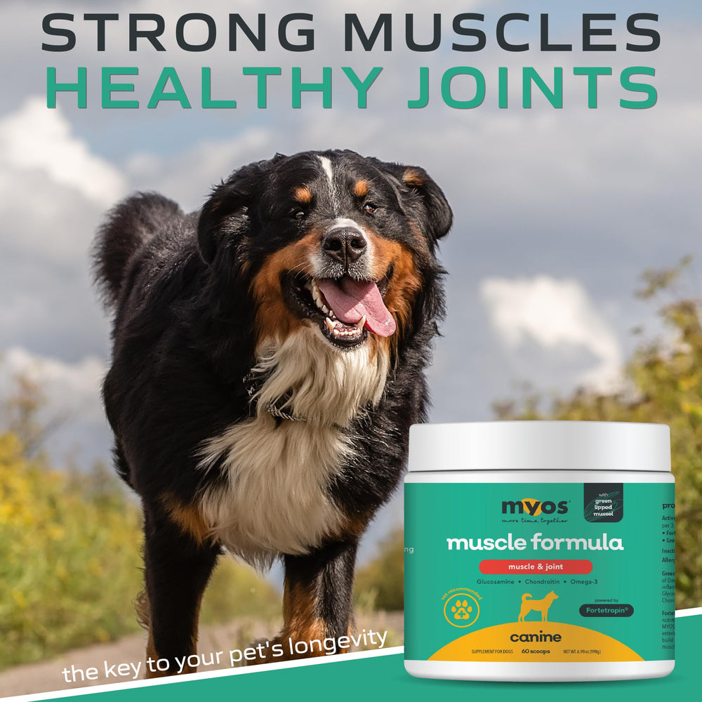 MYOS Canine Muscle Formula box front emphasizes U.S. and German manufacturing.
