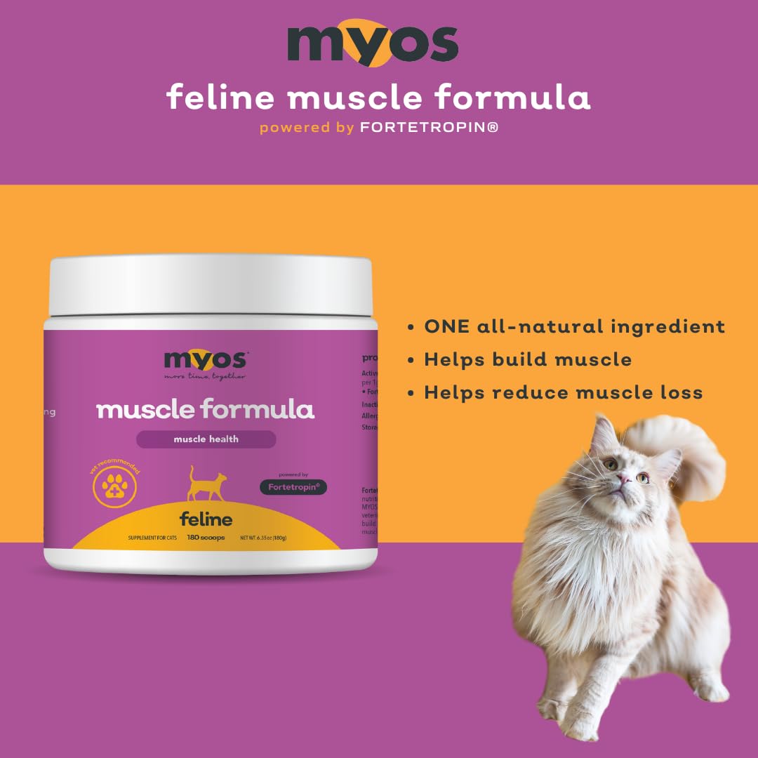 MYOS Feline Muscle Formula daily-servings setup for consistent feeding routine.