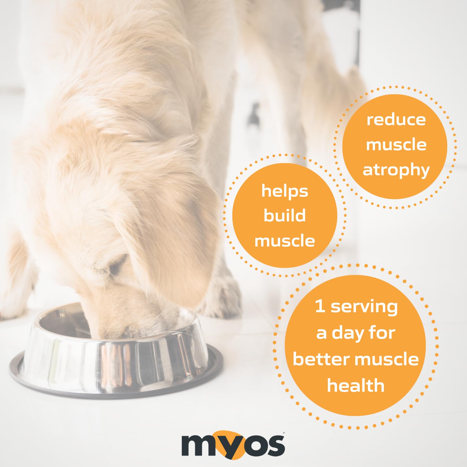 Fortetropin ingredient graphic from MYOS Canine Muscle Formula.