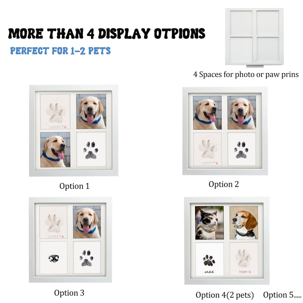 MYPAWLETS newbie-friendly setup shown for easy use.