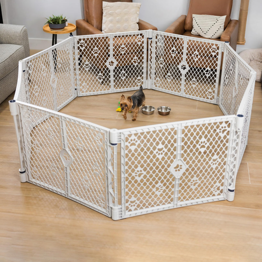 MYPET Paws Petyard indoor-use demonstrates a compact, safe space for small dogs