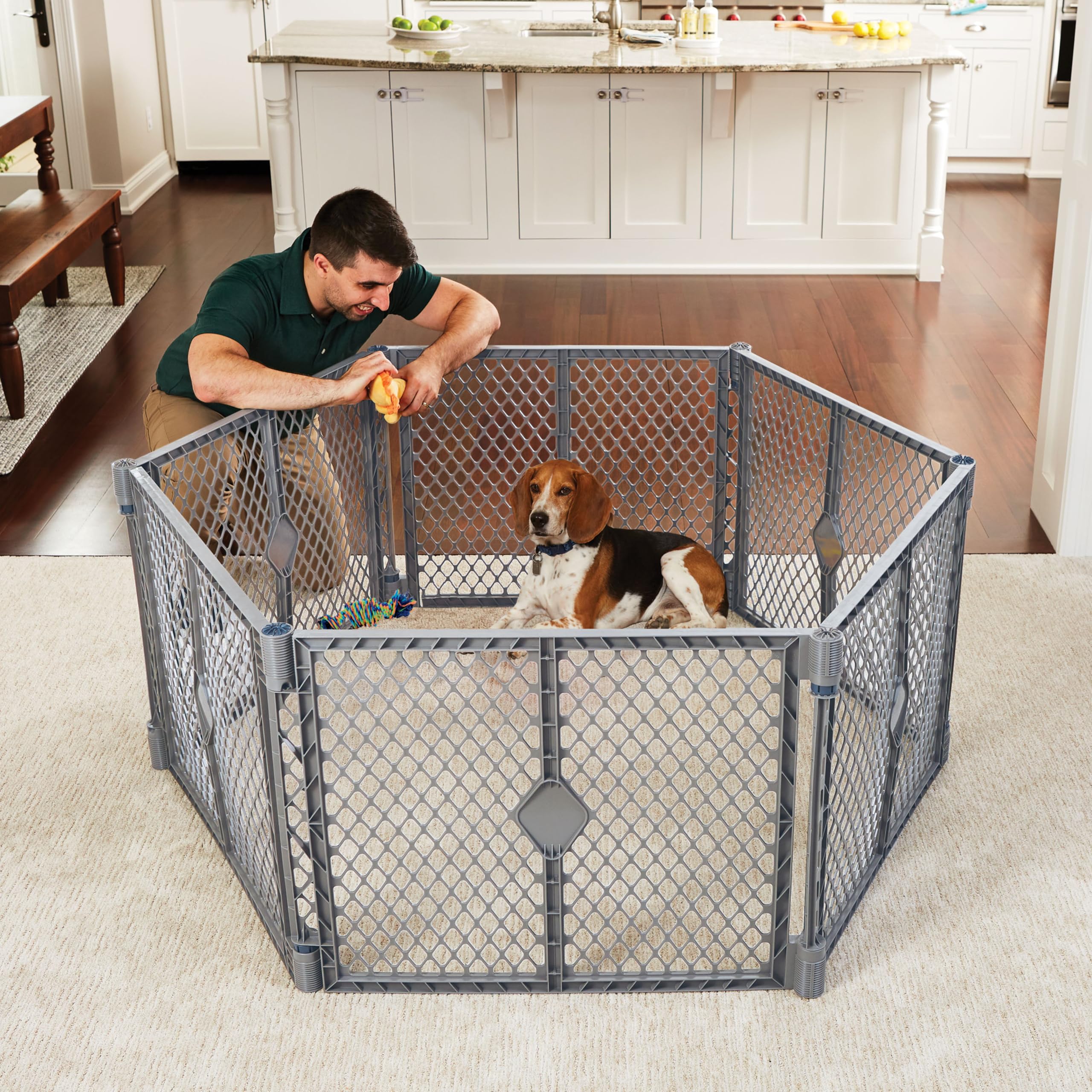Six-panel layout showing 18.5 sq ft play area for dogs