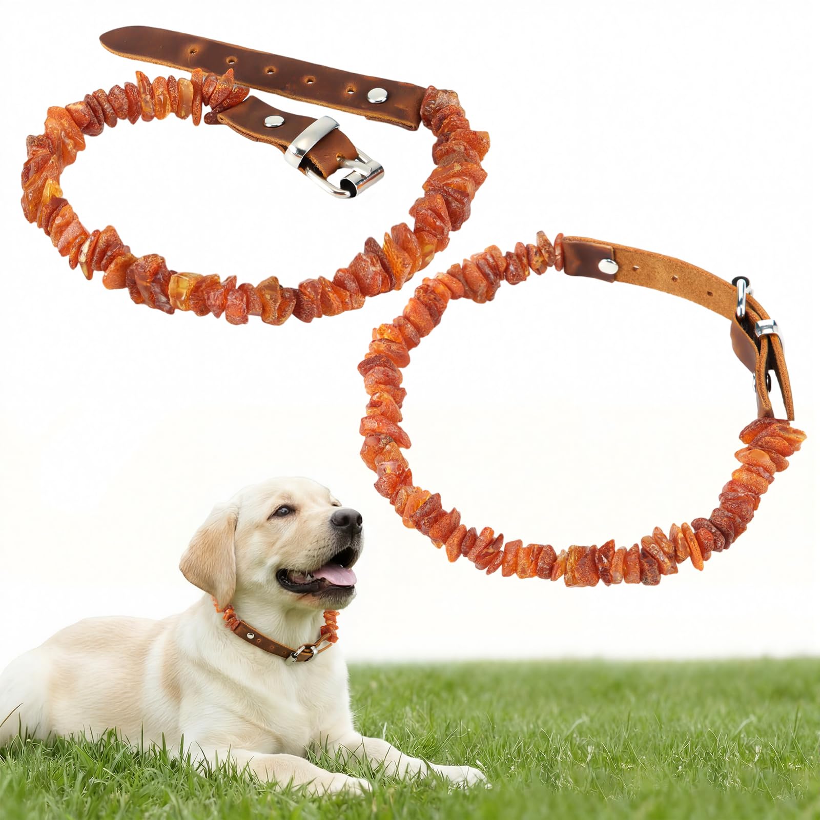 Mysora amber dog collar with adjustable leather strap for comfortable daily wear.