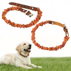 Mysora amber dog collar with adjustable leather strap for comfortable daily wear.