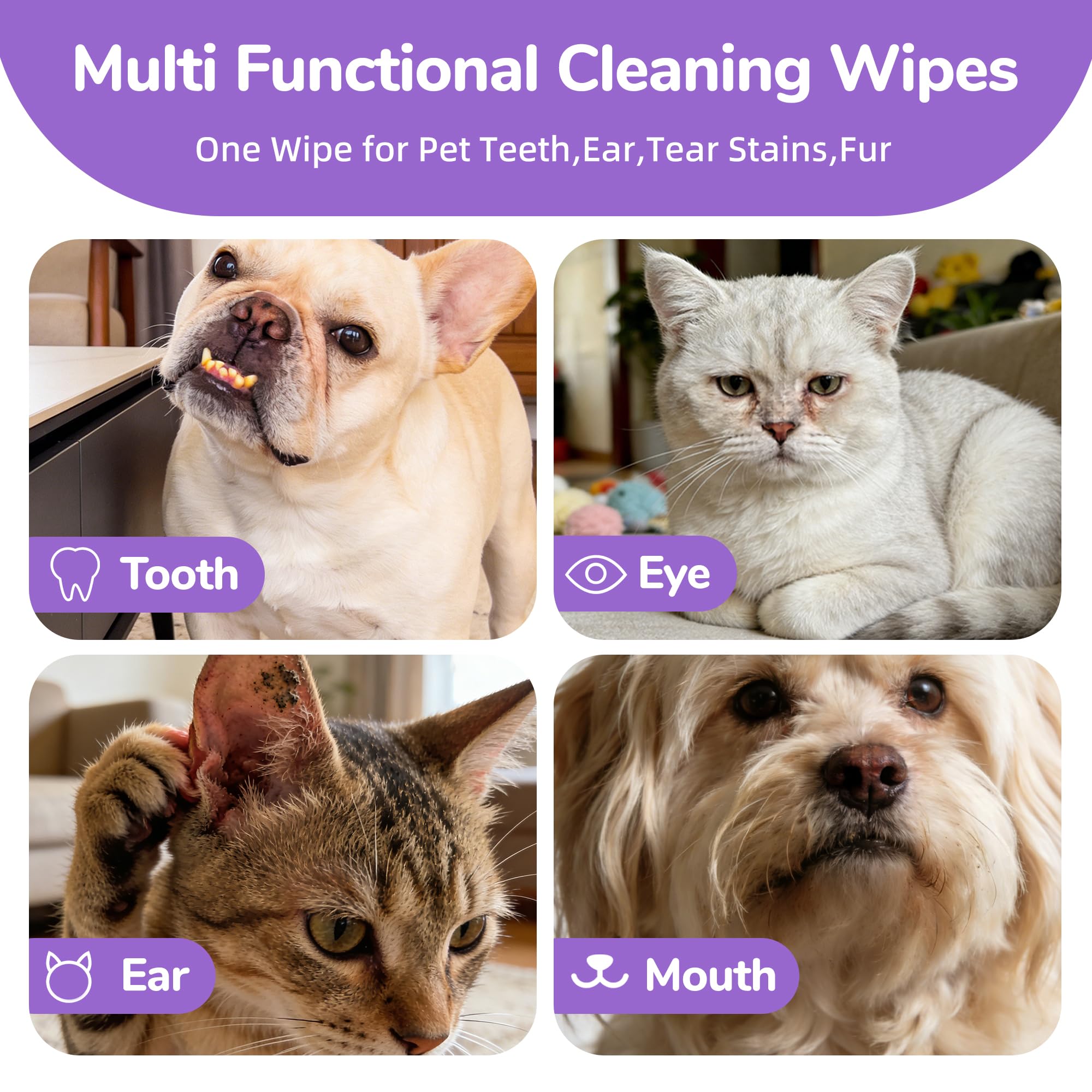 MyTend daily eye care wipes for convenient pet hygiene