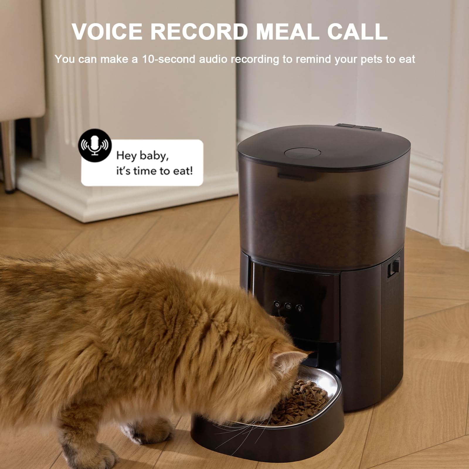 MZZ four-liter capacity storage for dry pet food
