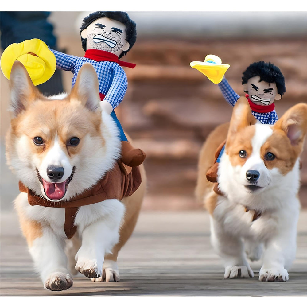 NACOCO Cowboy Rider saddle design demonstrates easy-on features for pets.