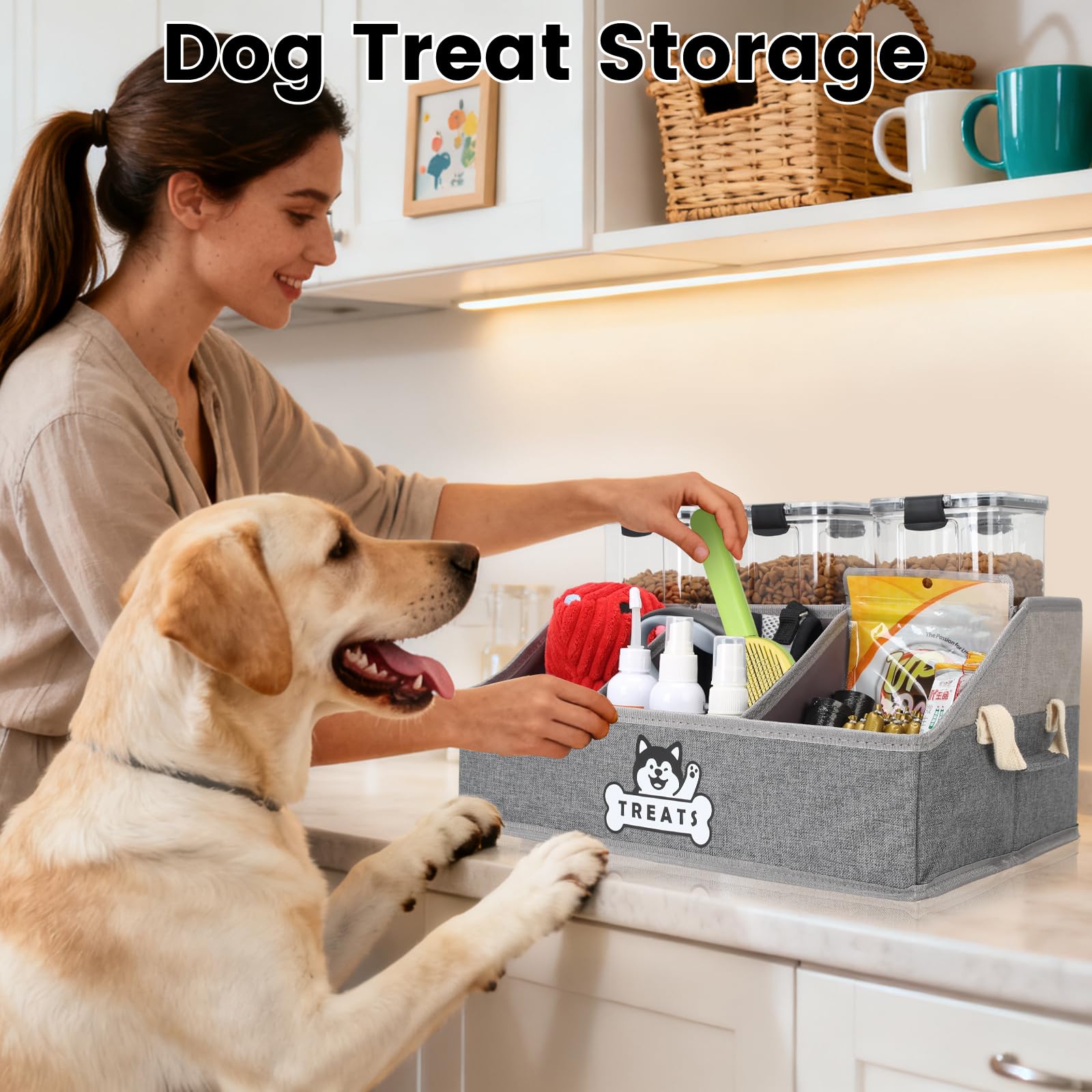 Nage-Bay dog treat container basket organized compartments keep supplies neat.