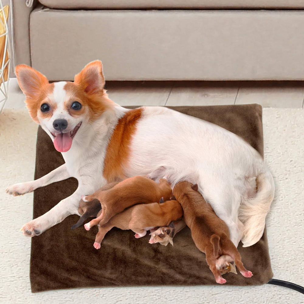 NAMOTEK chew-resistant cord designed for pets and homes.