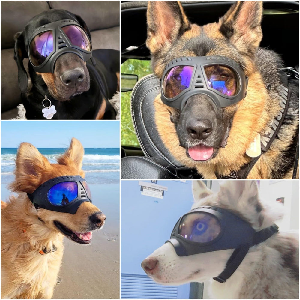 NAMSAN clear dog goggles with soft frame provide comfortable wear on long walks.