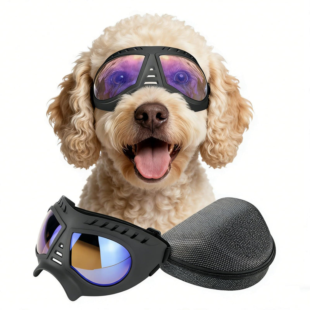 NAMSAN clear dog goggles with wide snout design protect eyes outdoors.