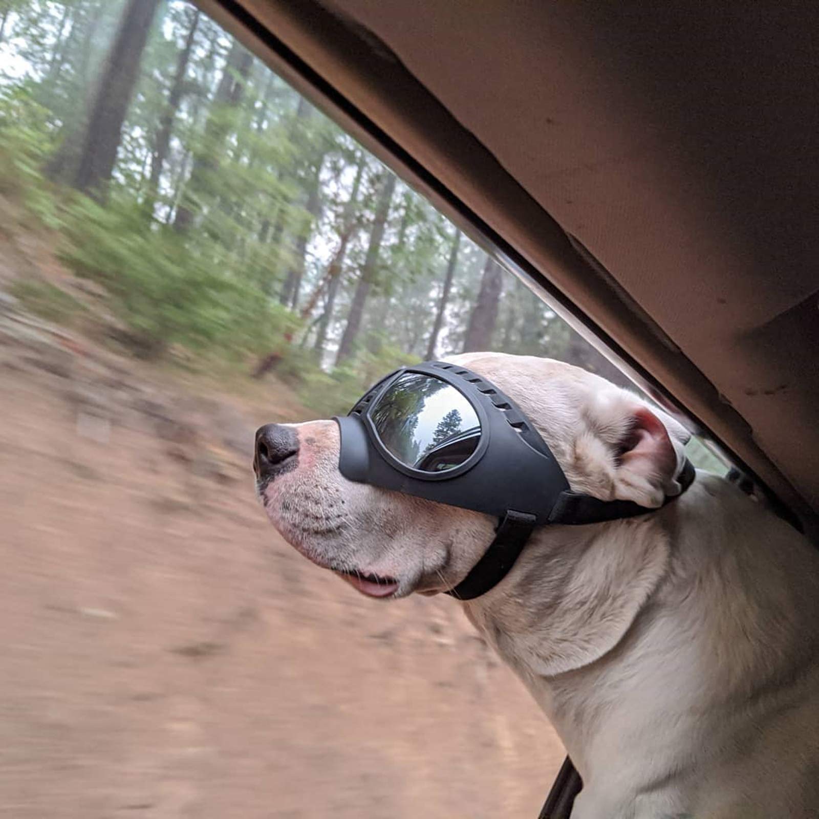 NAMSAN wide-coverage goggles block droplets and debris during wind and travel.