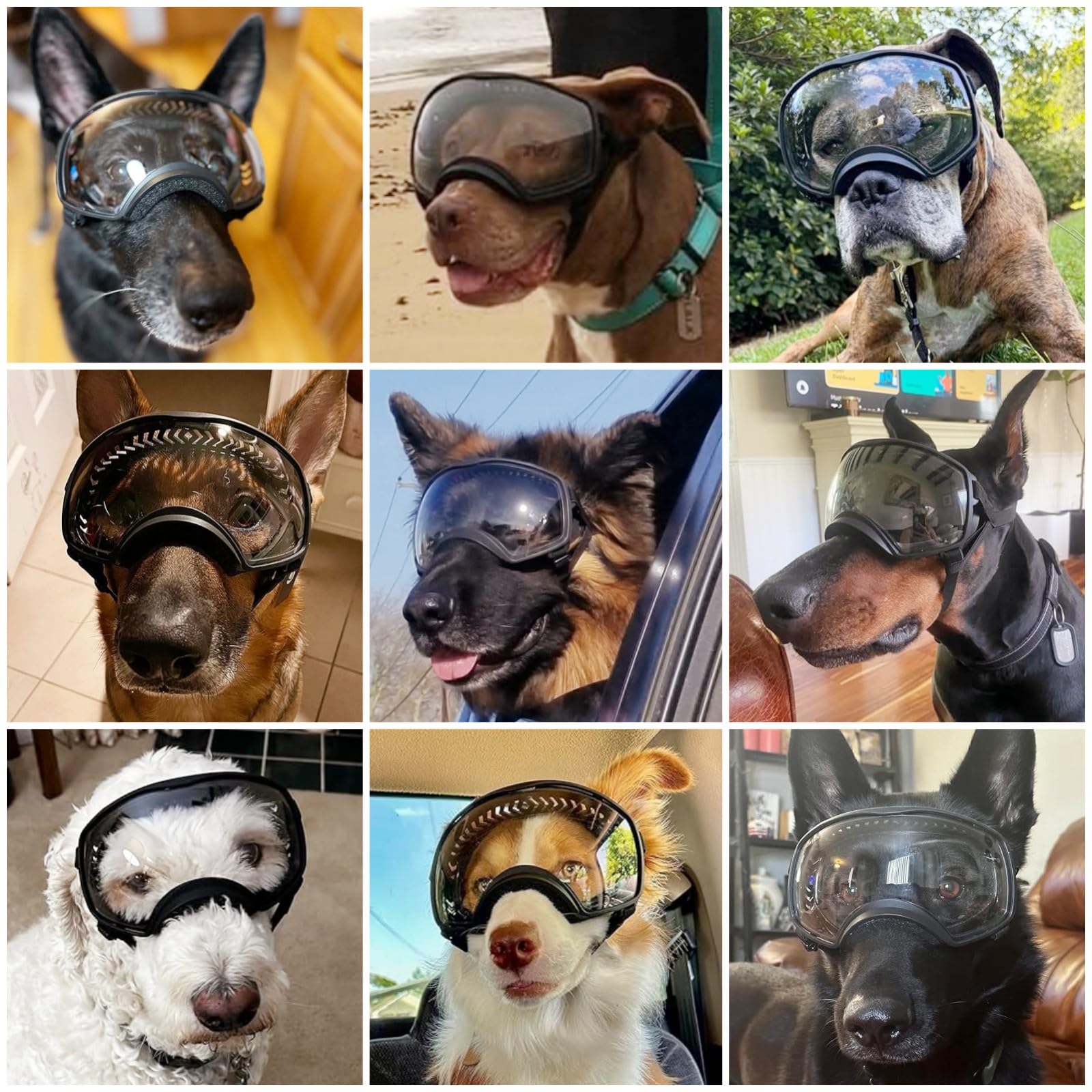 NAMSAN dog goggles lenses close-up highlighting UV protection.