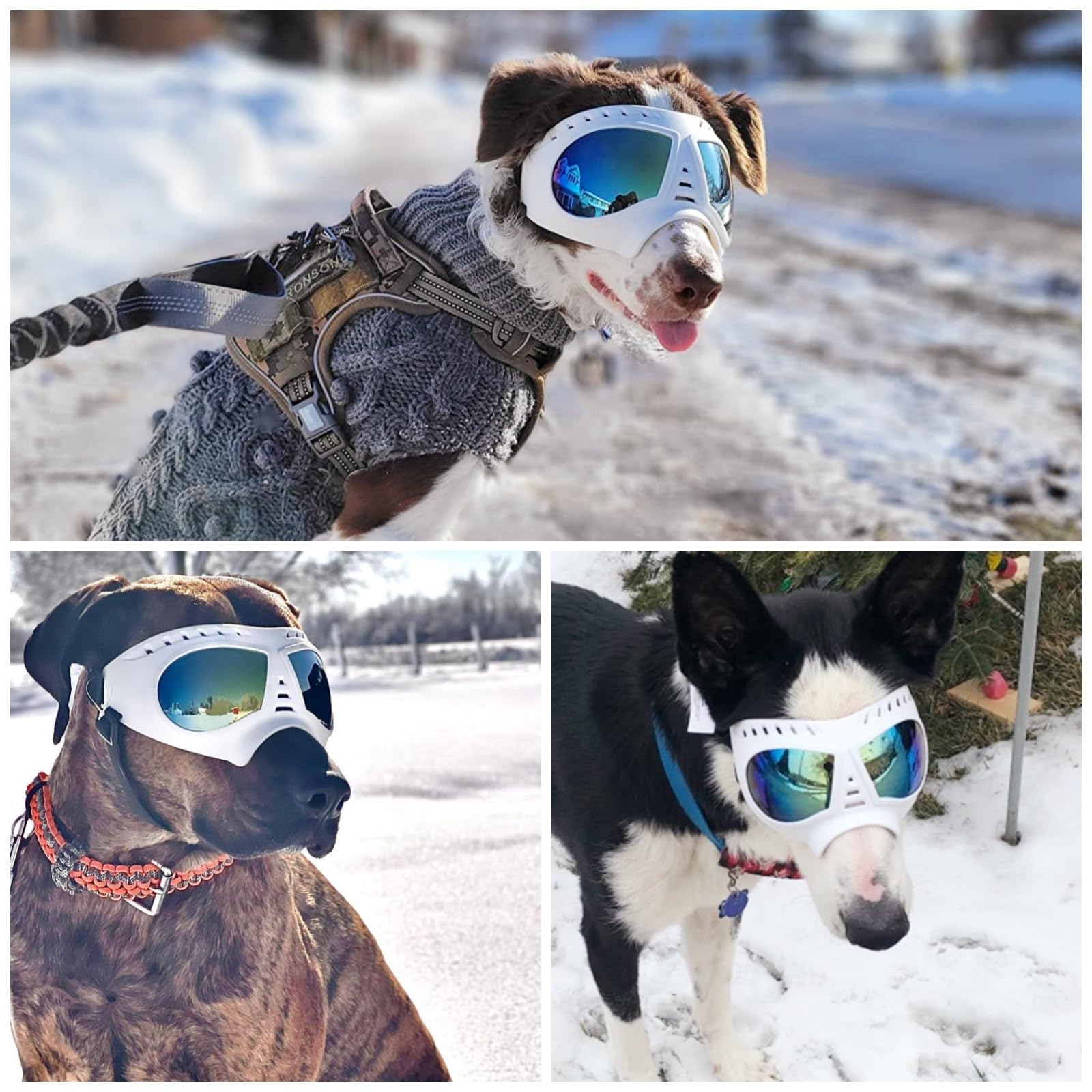 NAMSAN dog goggles built for outdoor adventures like running and skiing.