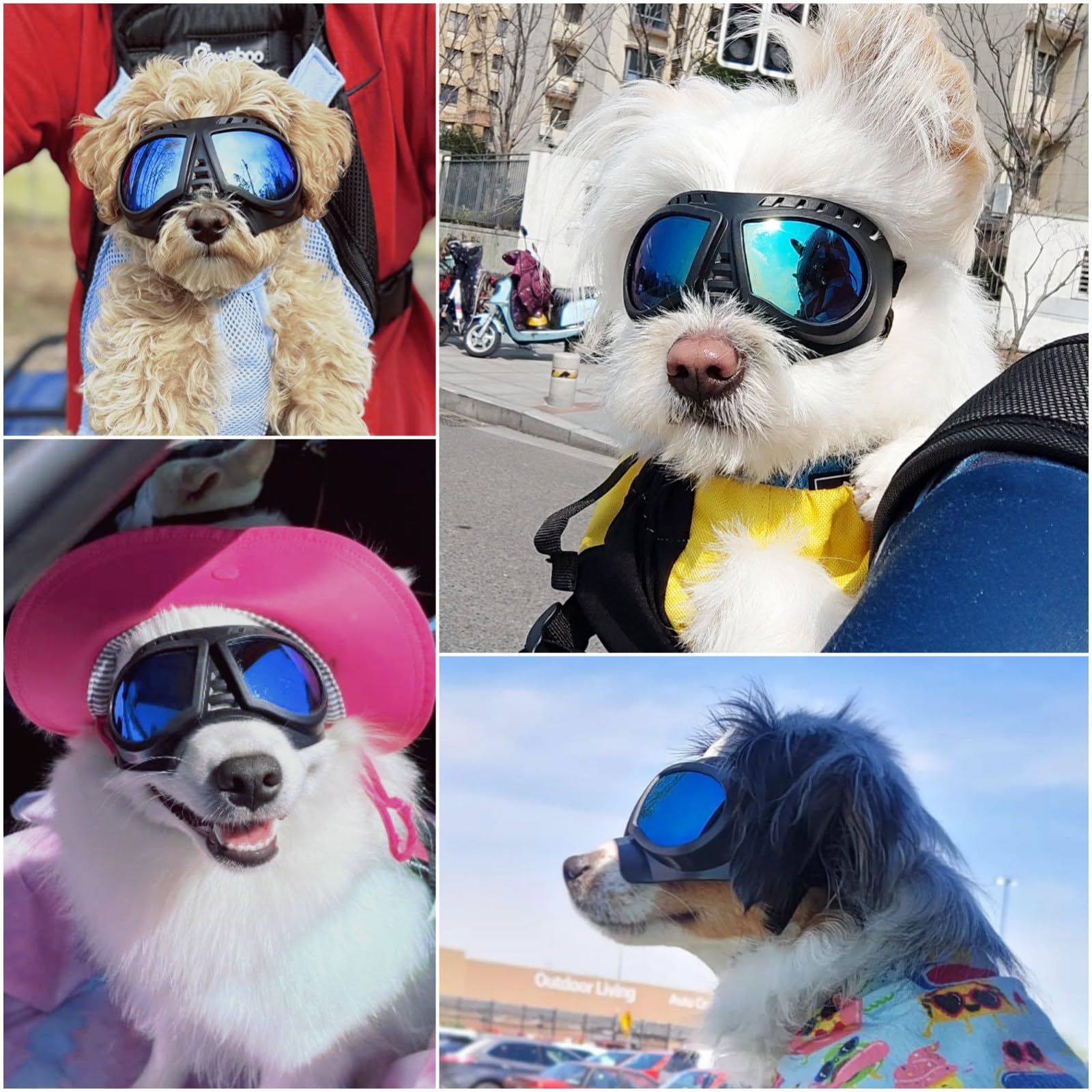 NAMSAN dog goggles with soft frame for comfortable all-day wear.