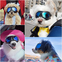 NAMSAN dog goggles with soft frame for comfortable all-day wear.
