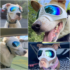 NAMSAN dog goggles with soft frame reduce discomfort while shielding eyes.