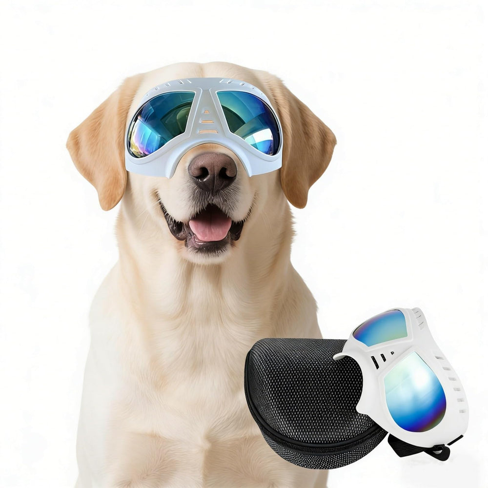 NAMSAN dog goggles with wide snout provide secure fit for large breeds during outdoor adventures.