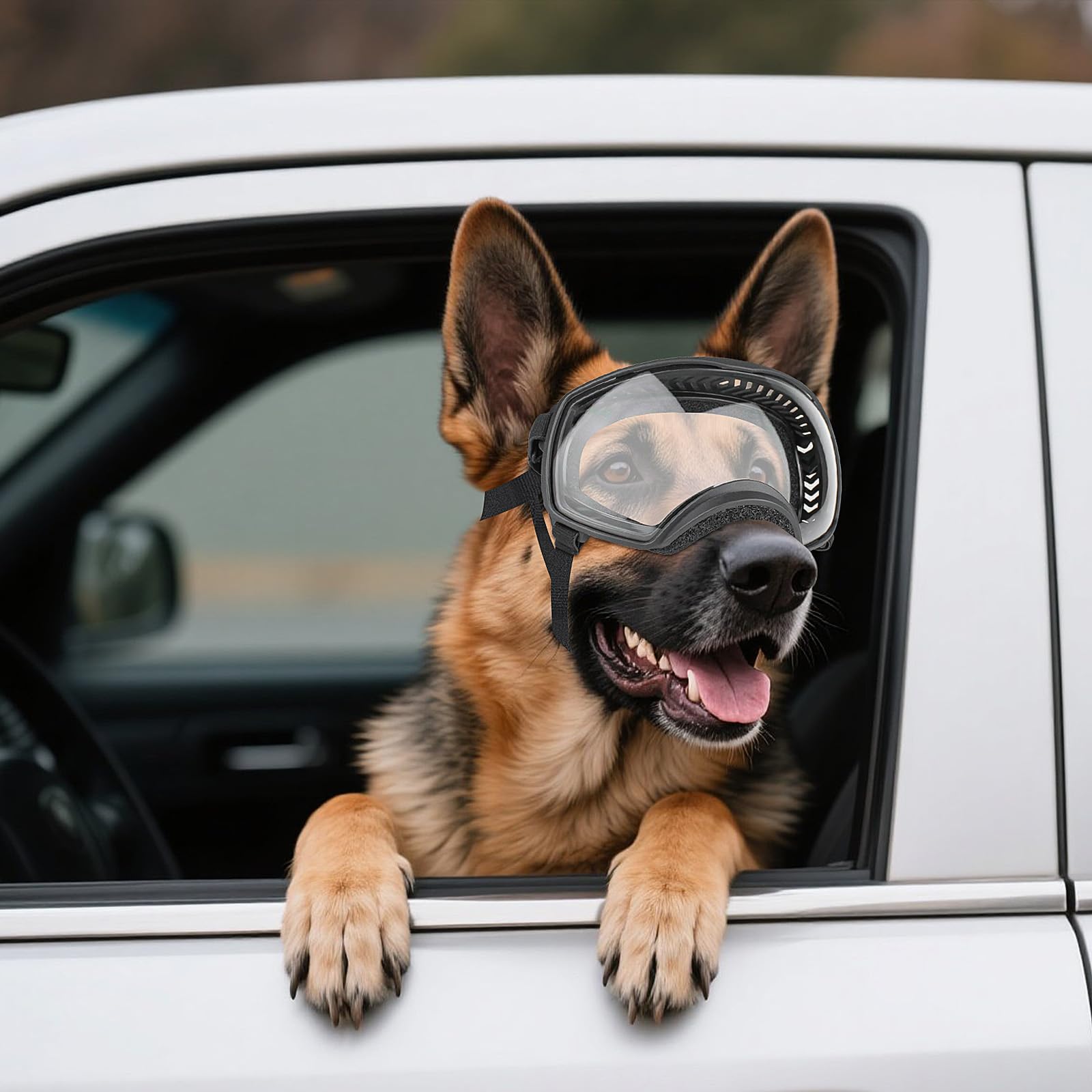 NAMSAN Road-trip eye protection lets dogs peek safely.